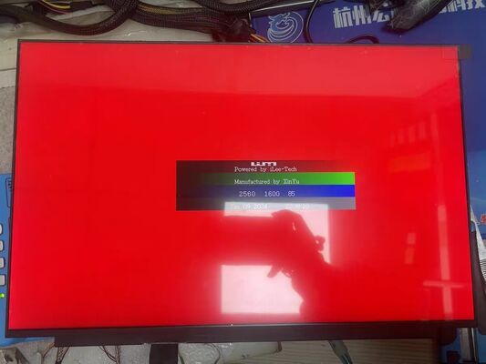 Un buen precio. Panel de pantalla LCD de 16 pulgadas NE160QDM-NY1 con 2560x1600 píxeles 500cd/m2 Brillo y velocidad de fotogramas de 165Hz en línea
